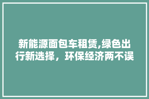 新能源面包车租赁,绿色出行新选择，环保经济两不误