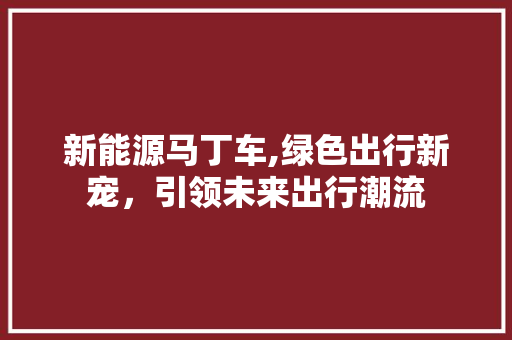 新能源马丁车,绿色出行新宠，引领未来出行潮流