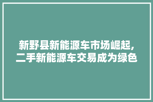 新野县新能源车市场崛起,二手新能源车交易成为绿色出行新选择