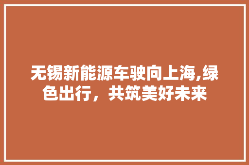 无锡新能源车驶向上海,绿色出行，共筑美好未来