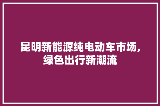 昆明新能源纯电动车市场,绿色出行新潮流