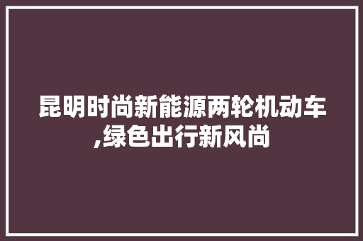 昆明时尚新能源两轮机动车,绿色出行新风尚