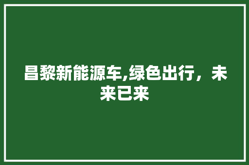 昌黎新能源车,绿色出行，未来已来