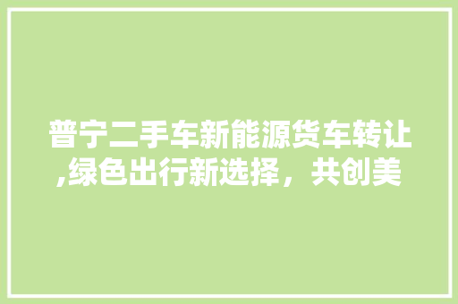 普宁二手车新能源货车转让,绿色出行新选择，共创美好未来