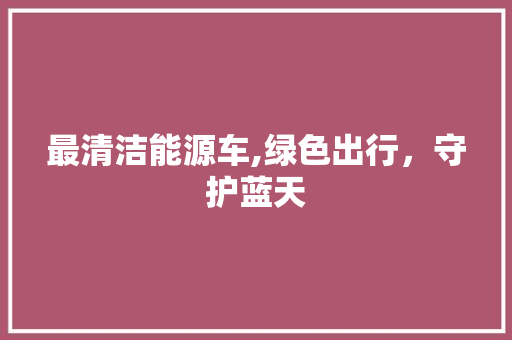 最清洁能源车,绿色出行，守护蓝天