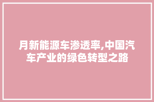 月新能源车渗透率,中国汽车产业的绿色转型之路