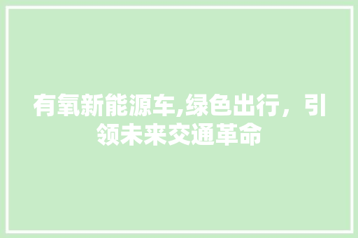 有氧新能源车,绿色出行，引领未来交通革命