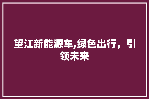 望江新能源车,绿色出行，引领未来