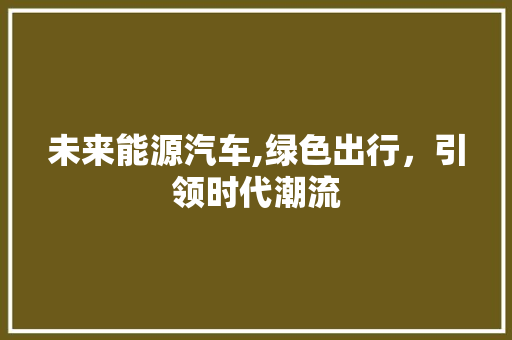 未来能源汽车,绿色出行，引领时代潮流