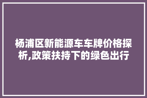 杨浦区新能源车车牌价格探析,政策扶持下的绿色出行新选择