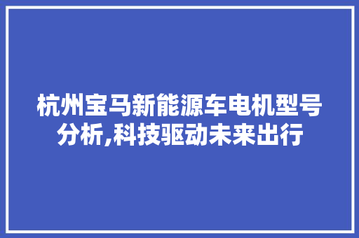 杭州宝马新能源车电机型号分析,科技驱动未来出行