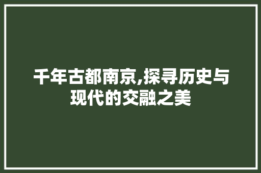 千年古都南京,探寻历史与现代的交融之美