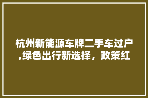 杭州新能源车牌二手车过户,绿色出行新选择，政策红利下的明智之选