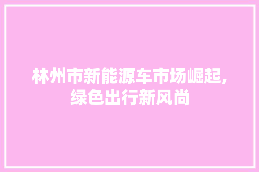 林州市新能源车市场崛起,绿色出行新风尚