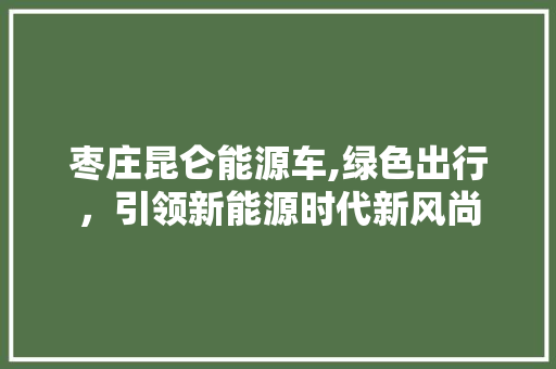 枣庄昆仑能源车,绿色出行，引领新能源时代新风尚