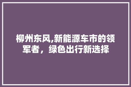 柳州东风,新能源车市的领军者，绿色出行新选择