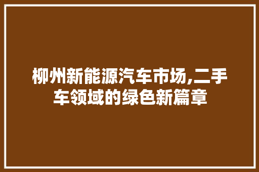 柳州新能源汽车市场,二手车领域的绿色新篇章