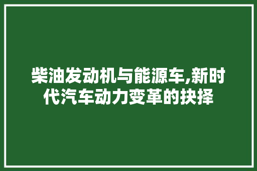 柴油发动机与能源车,新时代汽车动力变革的抉择