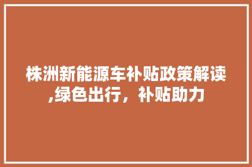 株洲新能源车补贴政策解读,绿色出行，补贴助力