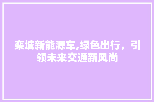 栾城新能源车,绿色出行，引领未来交通新风尚  第1张