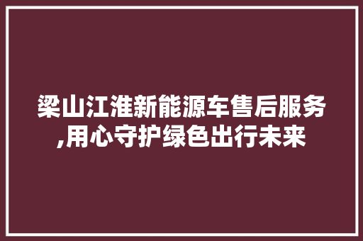 梁山江淮新能源车售后服务,用心守护绿色出行未来