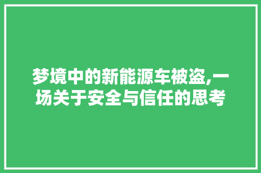 梦境中的新能源车被盗,一场关于安全与信任的思考