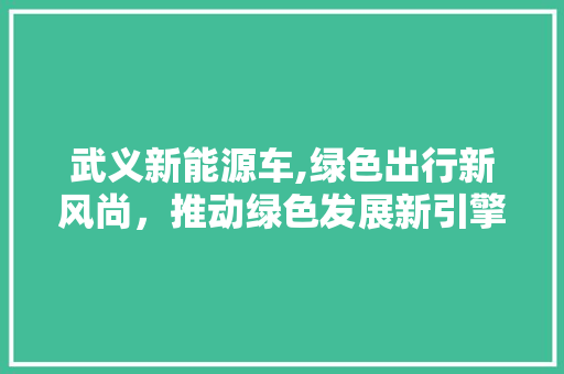 武义新能源车,绿色出行新风尚，推动绿色发展新引擎