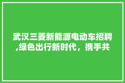 武汉三菱新能源电动车招聘,绿色出行新时代，携手共创美好未来  第1张