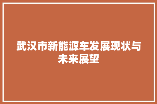 武汉市新能源车发展现状与未来展望