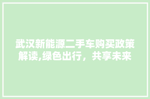 武汉新能源二手车购买政策解读,绿色出行，共享未来