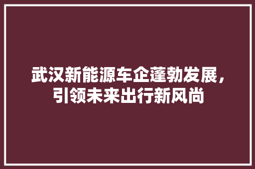 武汉新能源车企蓬勃发展，引领未来出行新风尚