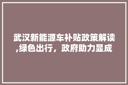 武汉新能源车补贴政策解读,绿色出行，政府助力显成效