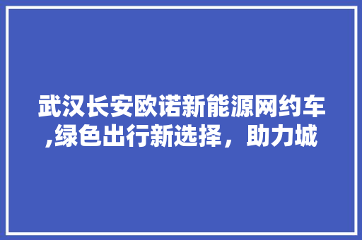 武汉长安欧诺新能源网约车,绿色出行新选择，助力城市发展