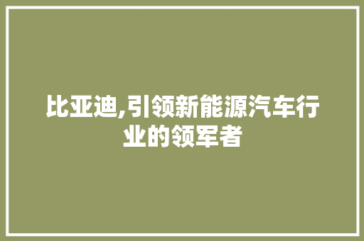 比亚迪,引领新能源汽车行业的领军者  第1张