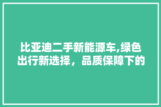 比亚迪二手新能源车,绿色出行新选择，品质保障下的环保未来