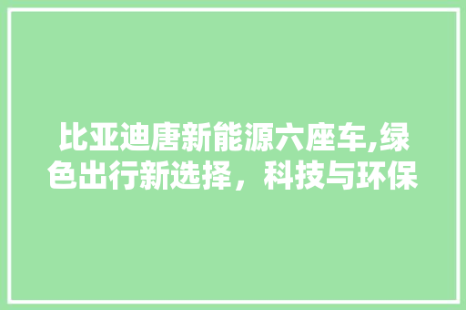 比亚迪唐新能源六座车,绿色出行新选择，科技与环保的完美融合  第1张