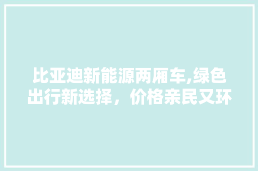 比亚迪新能源两厢车,绿色出行新选择，价格亲民又环保  第1张