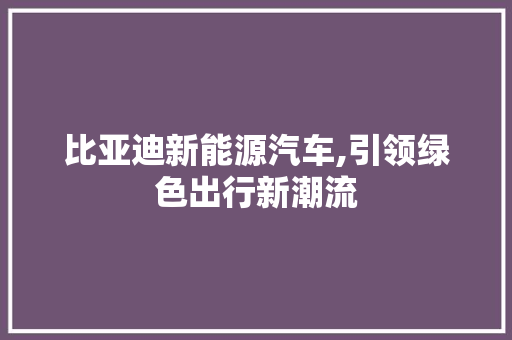 比亚迪新能源汽车,引领绿色出行新潮流  第1张