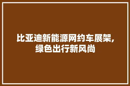 比亚迪新能源网约车展架,绿色出行新风尚