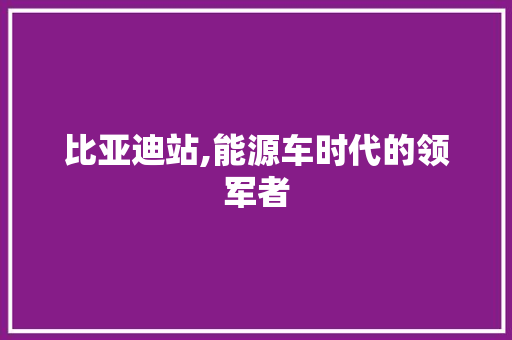 比亚迪站,能源车时代的领军者