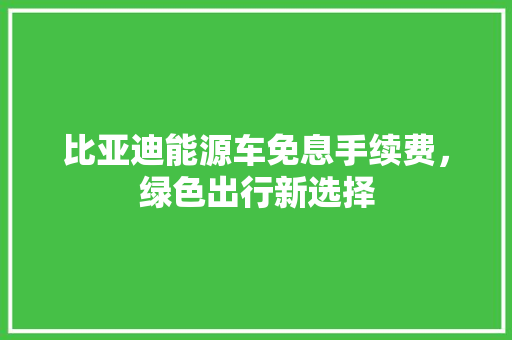 比亚迪能源车免息手续费，绿色出行新选择