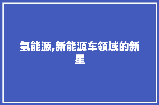 氢能源,新能源车领域的新星