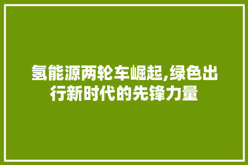 氢能源两轮车崛起,绿色出行新时代的先锋力量