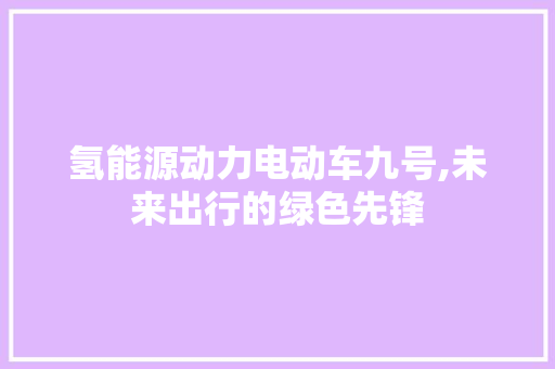 氢能源动力电动车九号,未来出行的绿色先锋