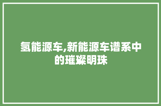 氢能源车,新能源车谱系中的璀璨明珠