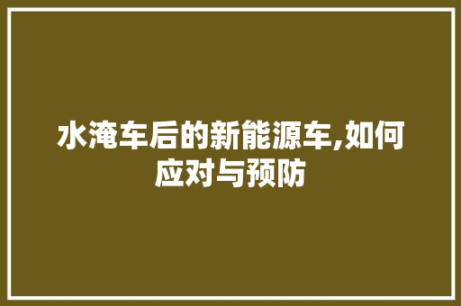 水淹车后的新能源车,如何应对与预防