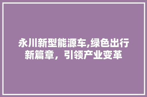 永川新型能源车,绿色出行新篇章，引领产业变革