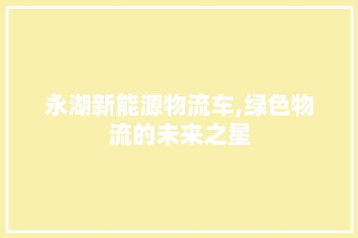 永湖新能源物流车,绿色物流的未来之星