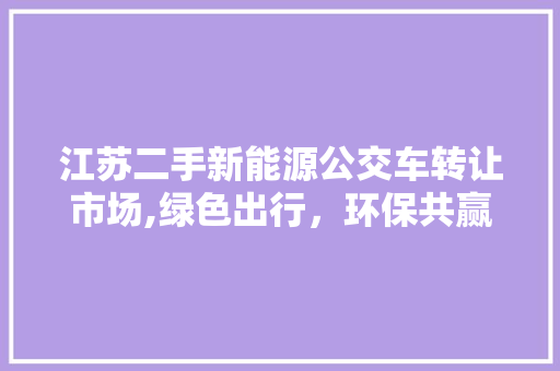 江苏二手新能源公交车转让市场,绿色出行，环保共赢