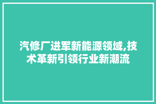 汽修厂进军新能源领域,技术革新引领行业新潮流